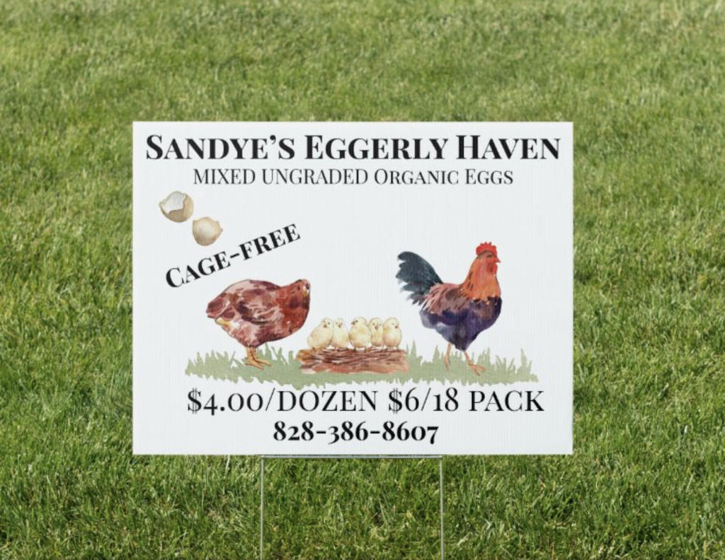 Sandyes Eggerly Haven