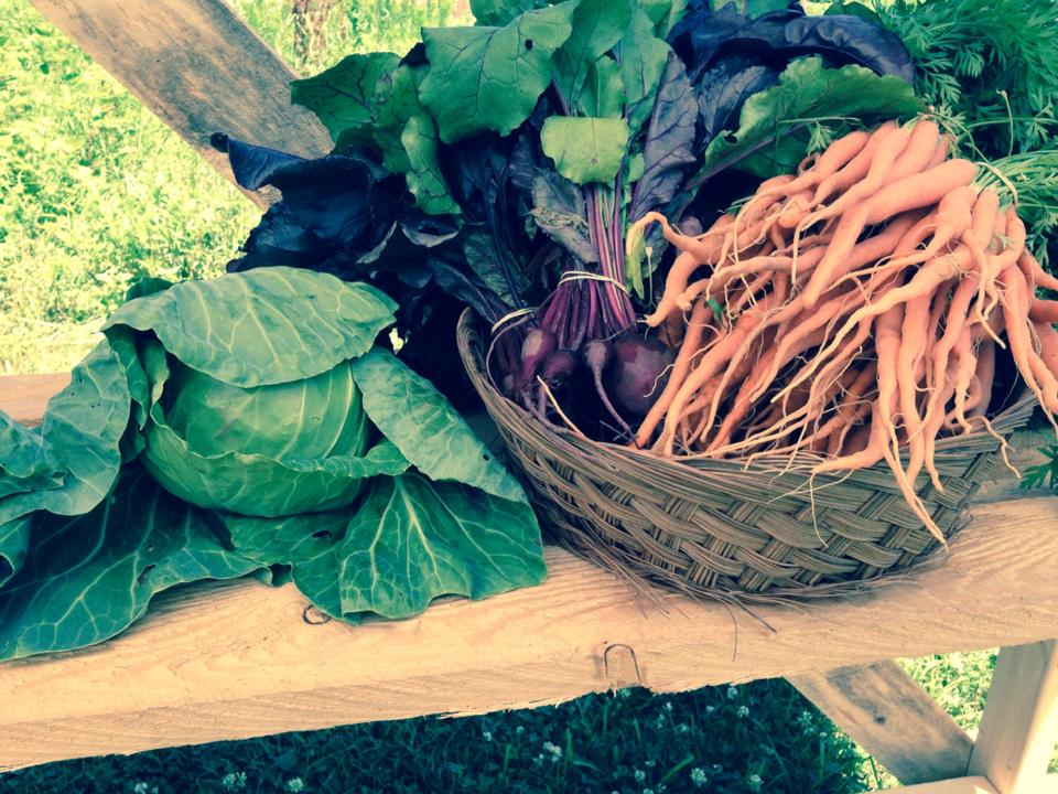 Scantic Valley CSA
