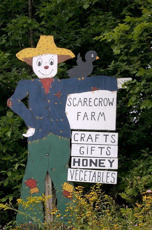 Scarecrow Farm