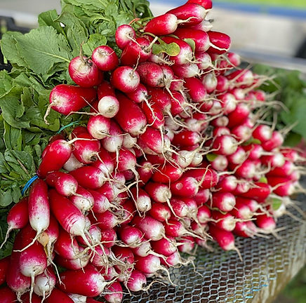 Schenk Homestead Farm
