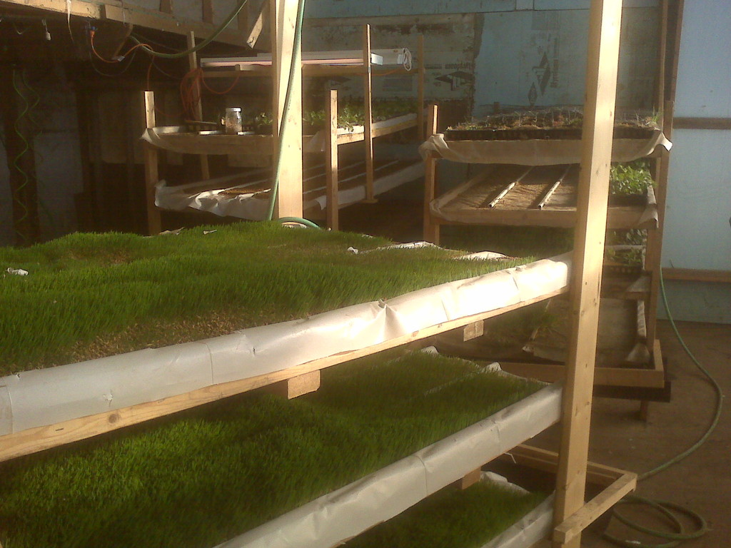 Schlangen Family Farm