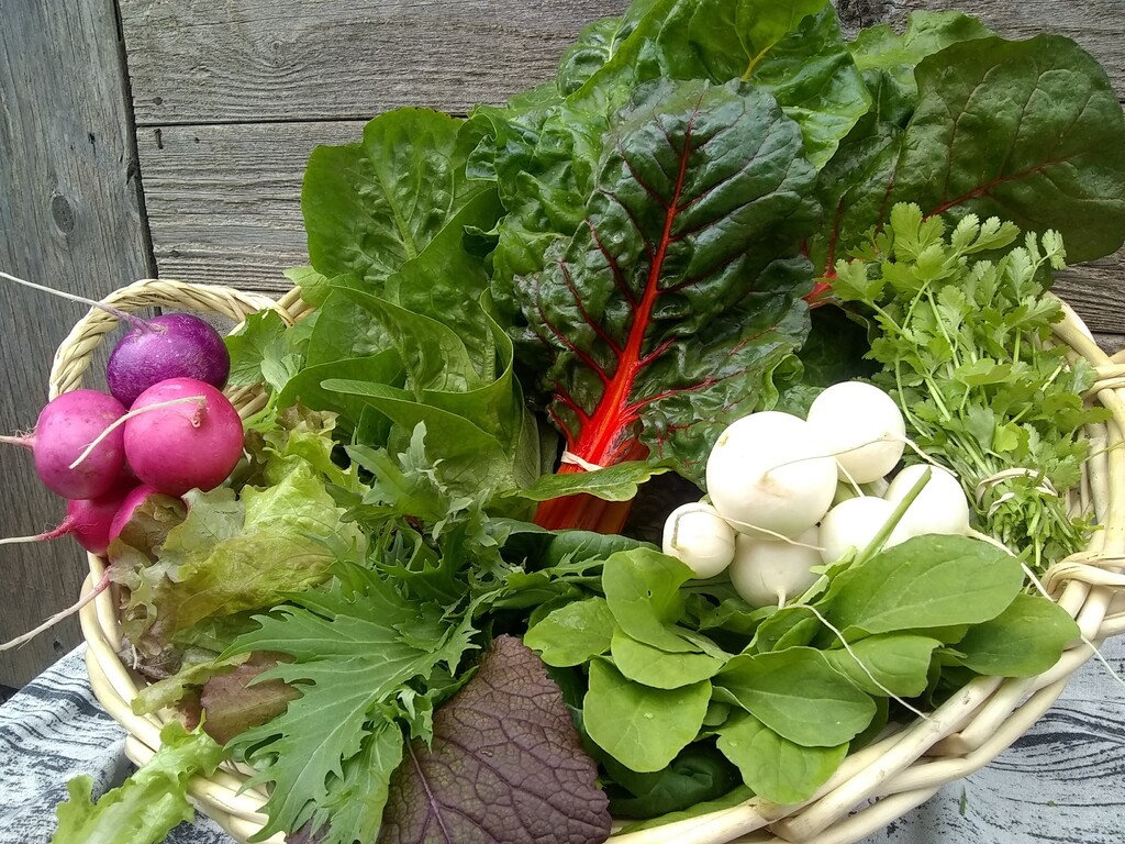Serenity Farm CSA
