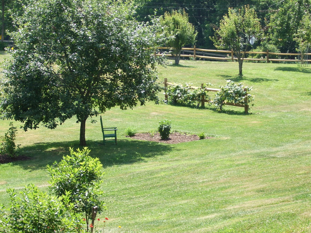 Shady Acres Organic Farm