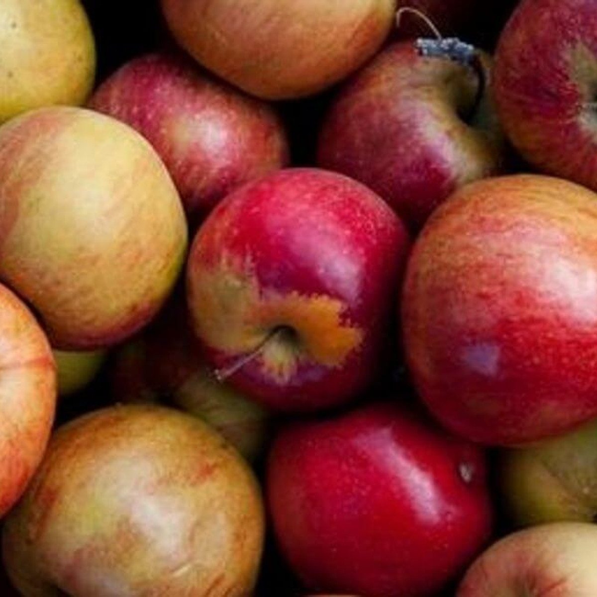 Sherwood Orchards