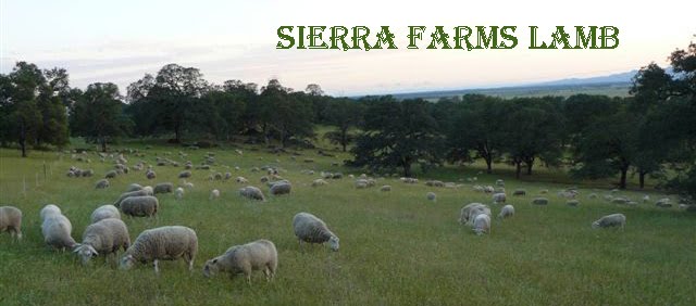 Sierra Farms