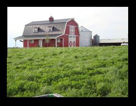 Slagel Family Farm