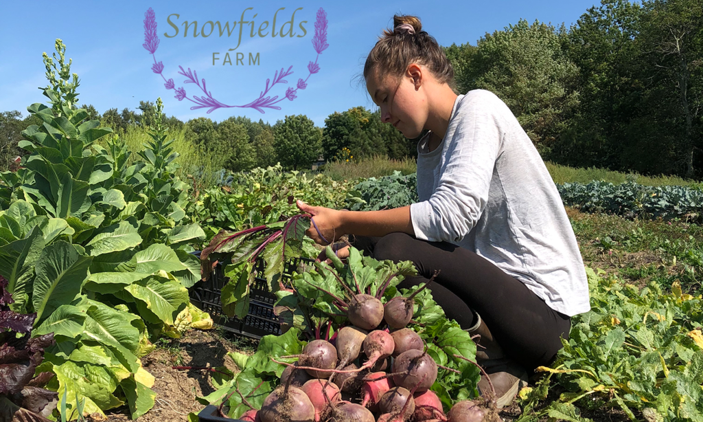 Snowfields Farm