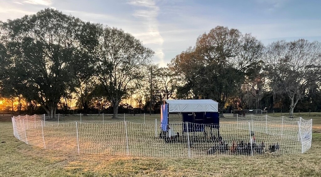 South Shore Farm and Fish