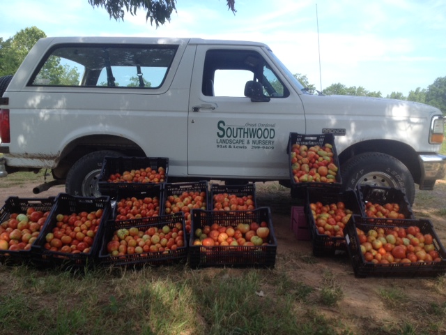 Southwood Urban Farm and Market