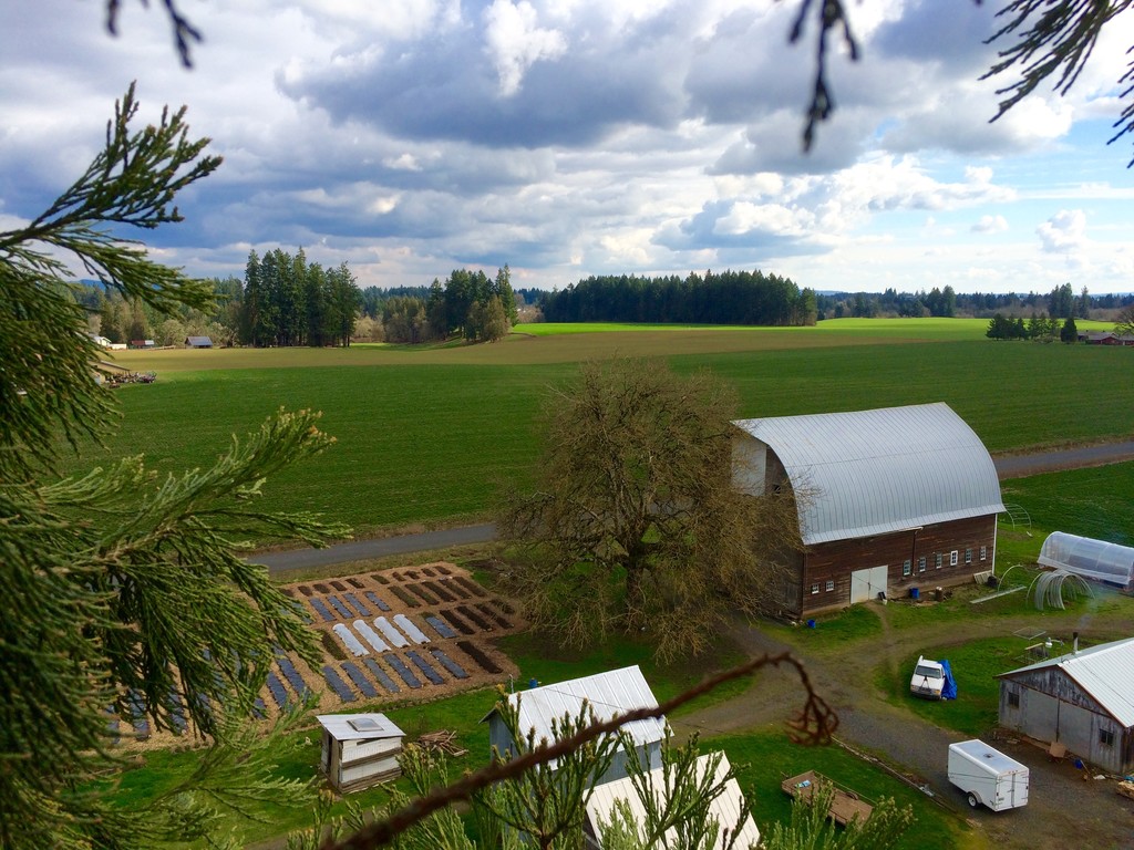 Sparrowhawk Farm