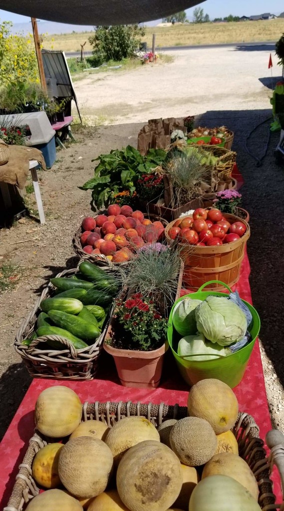 Spyglass Gardens llc