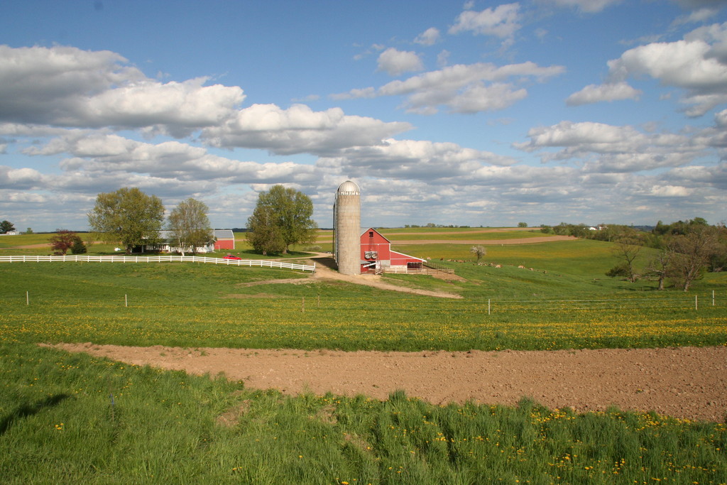 St. Brigid's Meadows LLC.