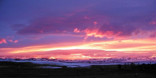 Stanger Ranch Grass Fed Beef