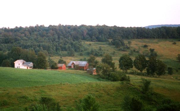 Stone & Thistle Farm's