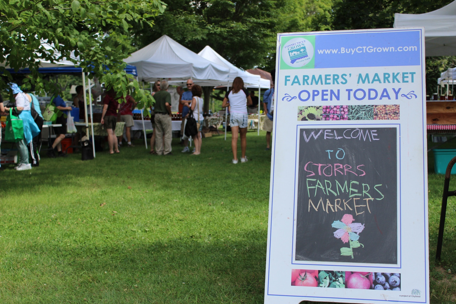 Storrs Winter Farmers' Market