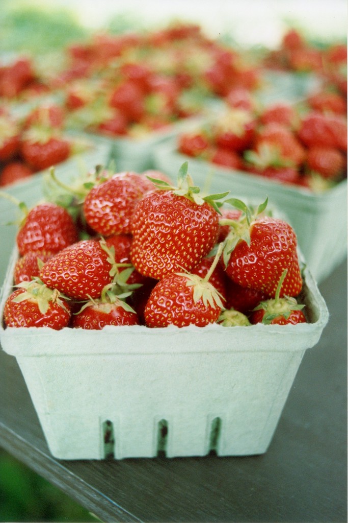 Strawberry Hill Farm Ltd.