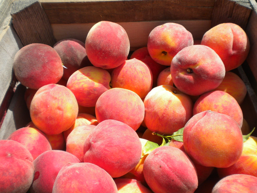 Strite's Orchard Farm Market and Bakery