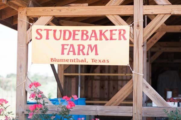 Studebaker Farm