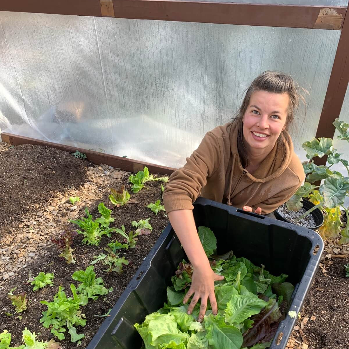 Sunrise Micro Farm