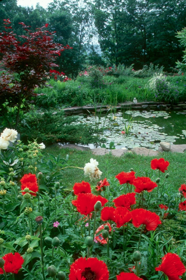 Sunshine Farm & Gardens