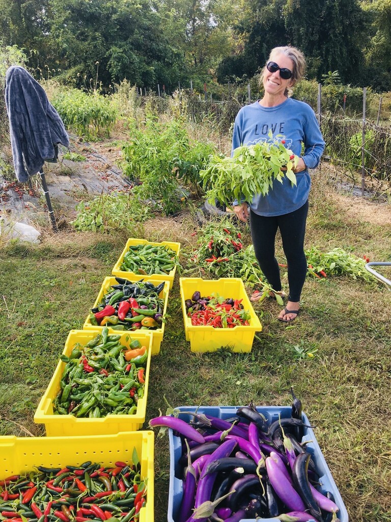 Susque View Farm & CSA