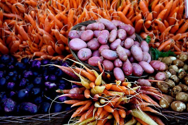 Sweet Leaf Organic Farm