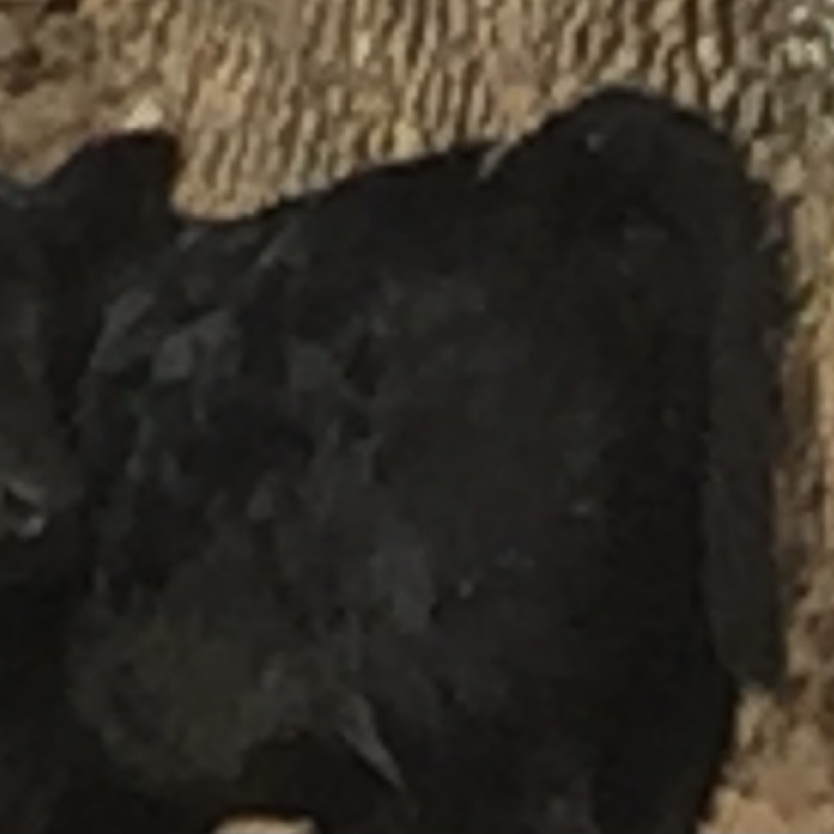 Sweetwater Acres Family Farm