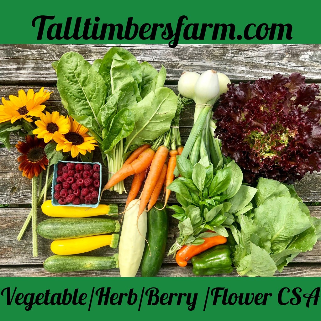 Tall Timbers Forest Farm