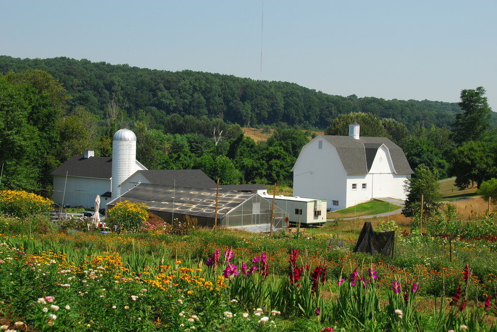 TALMAR Farm
