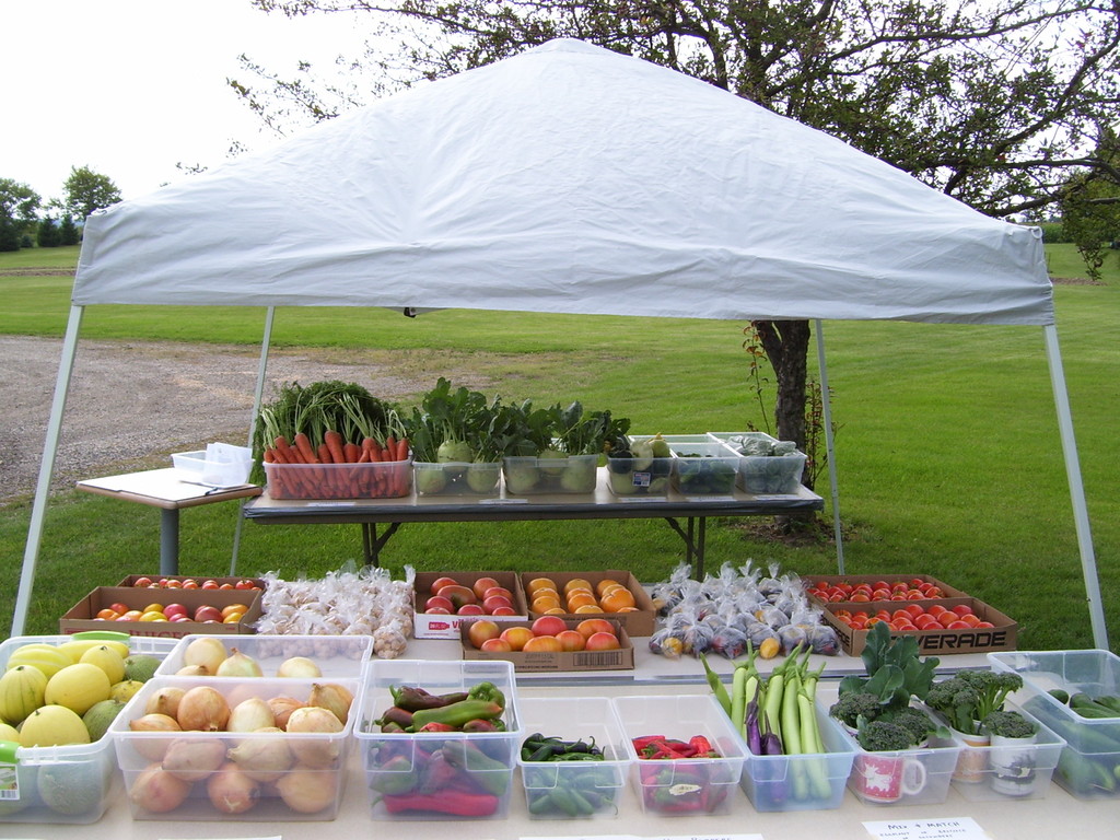 Taste the Color CSA