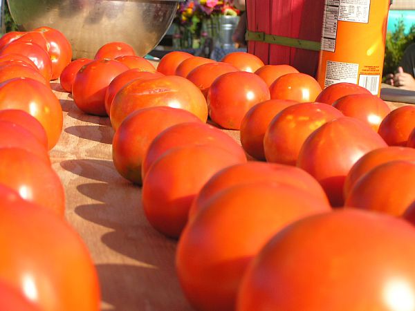 Taylor Farmers' Market
