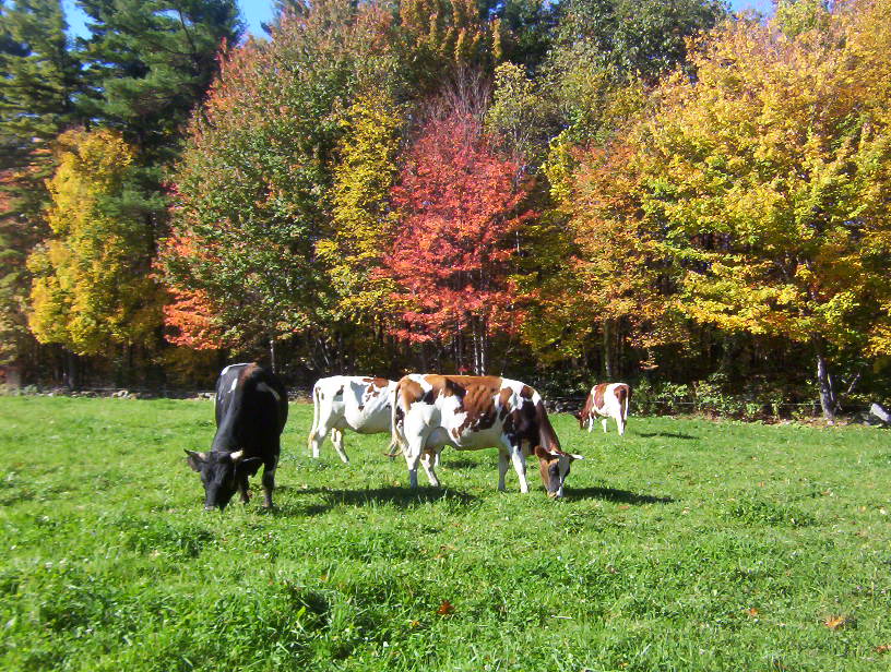 Temple-Wilton Community Farm