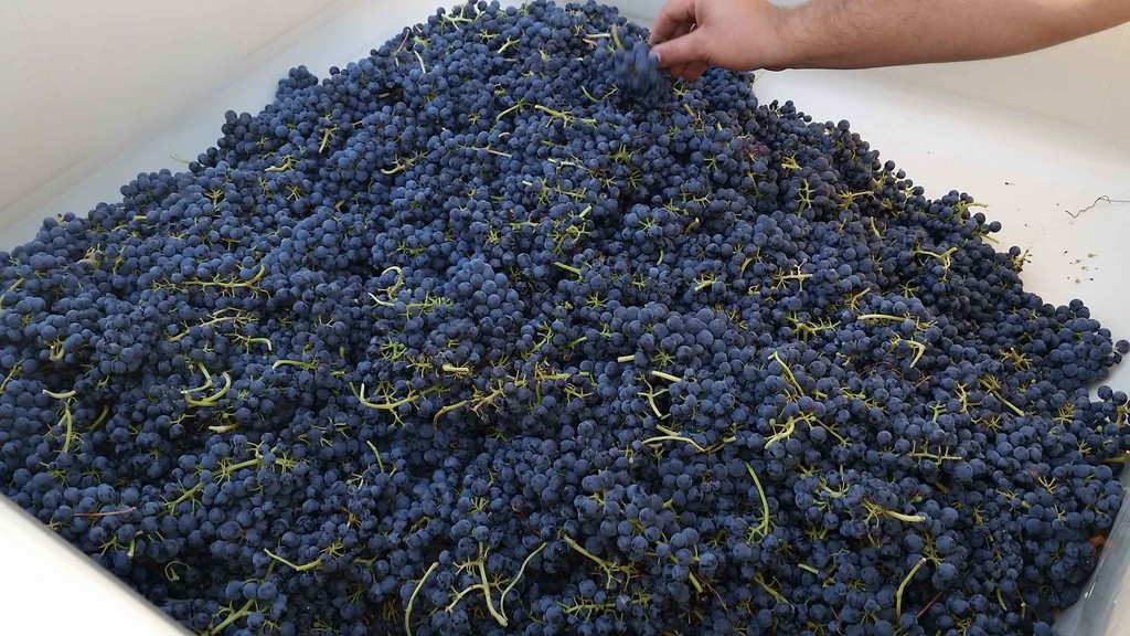 TerMar Vineyards