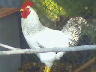 Terrapin Station Farm, LLC.