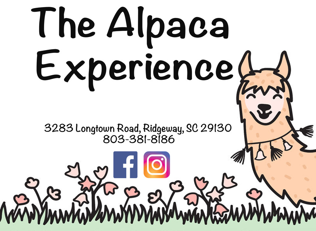 The Alpaca Experience at Hanna Hands farm