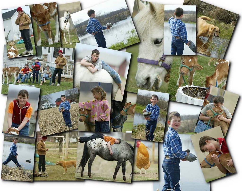 The Angelus Farms