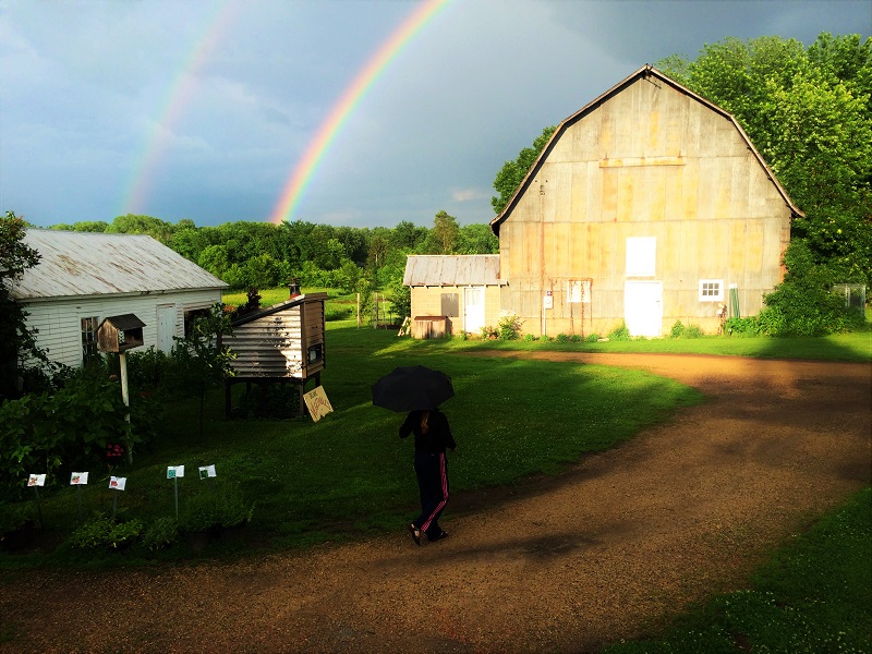 The Borner Farm Project