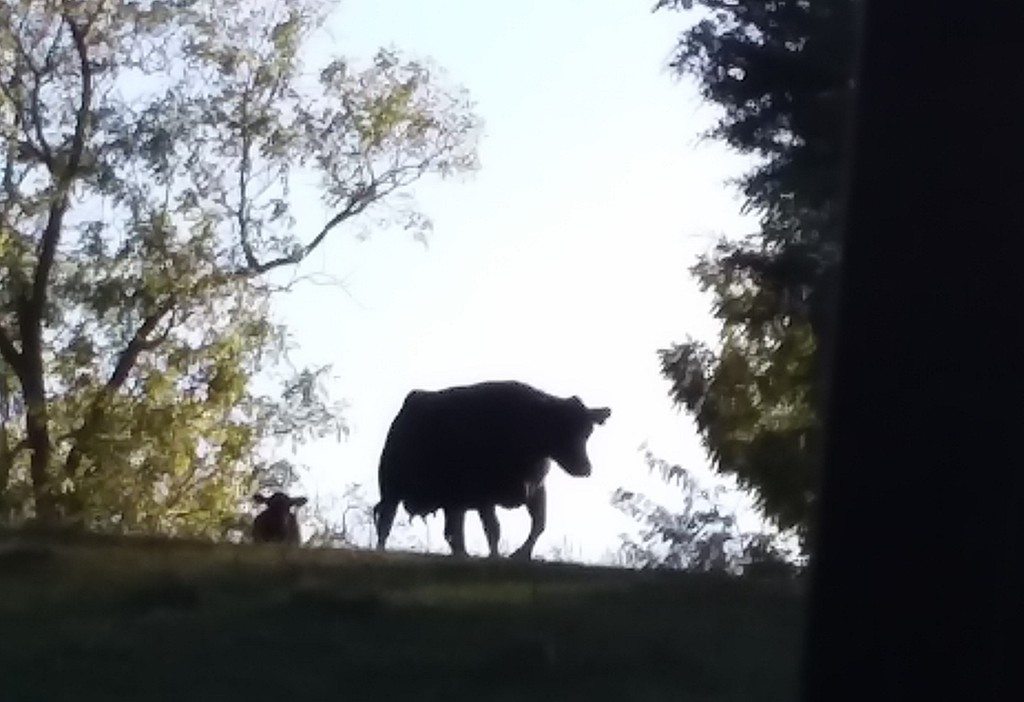 The Clark Family Farm