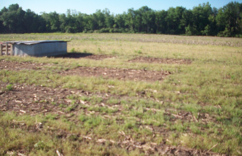 The Eclectic Farmstead