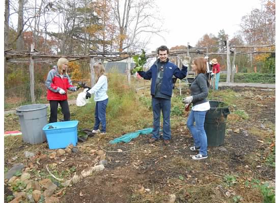 The Lionheart School Gardens