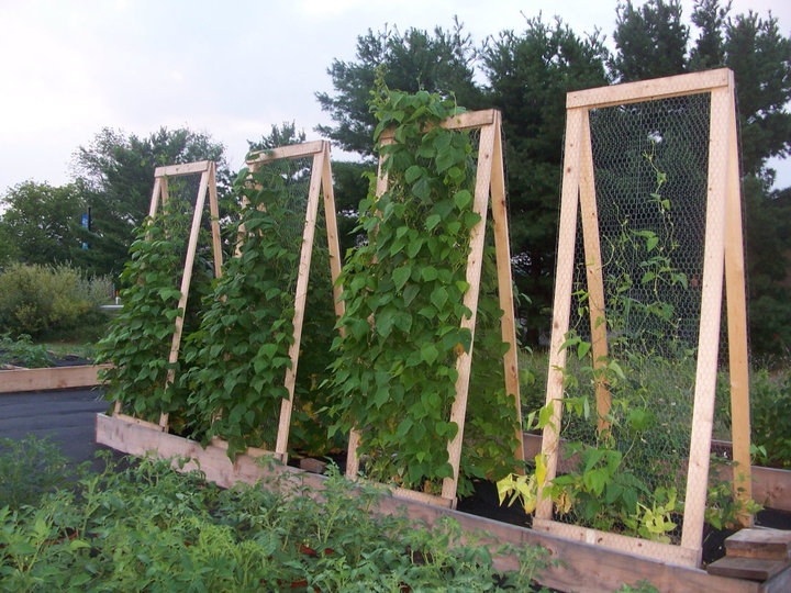 The Lovely Parr Garden & Farm