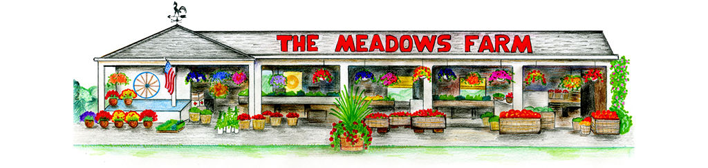 The Meadows Farm