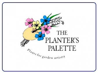 The Planter's Palette