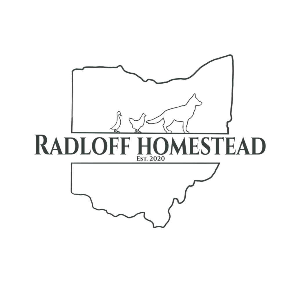 The Radloff Homestead