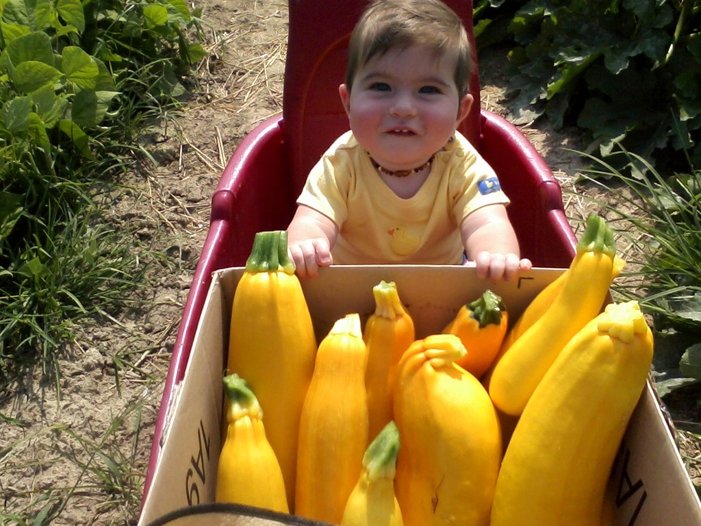 The Ryder Family Farm