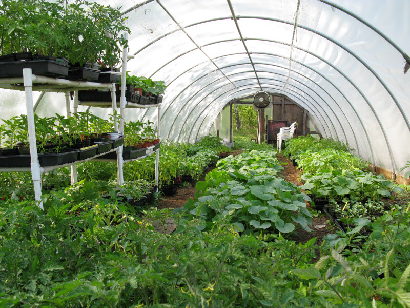The Secret Garden/Midheaven Farm