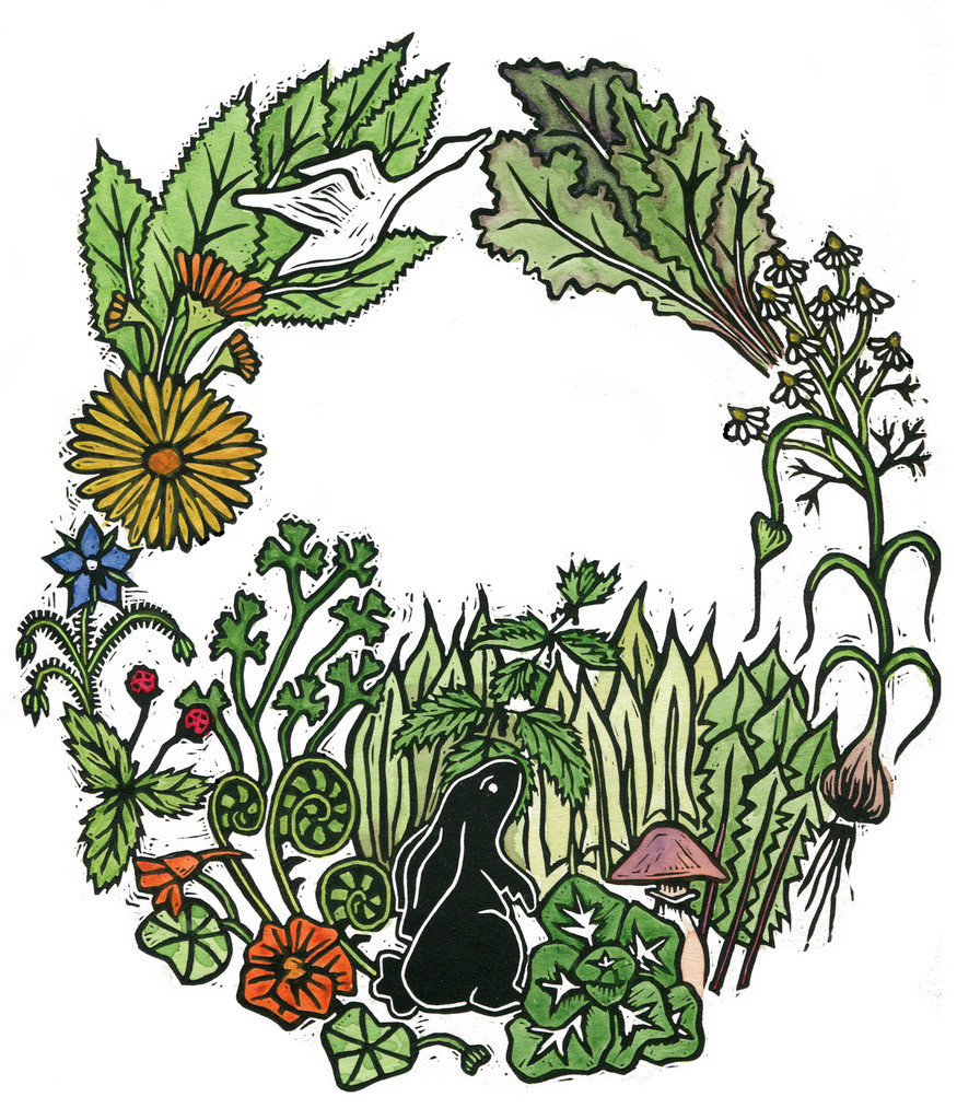 The Urban Acre Homestead