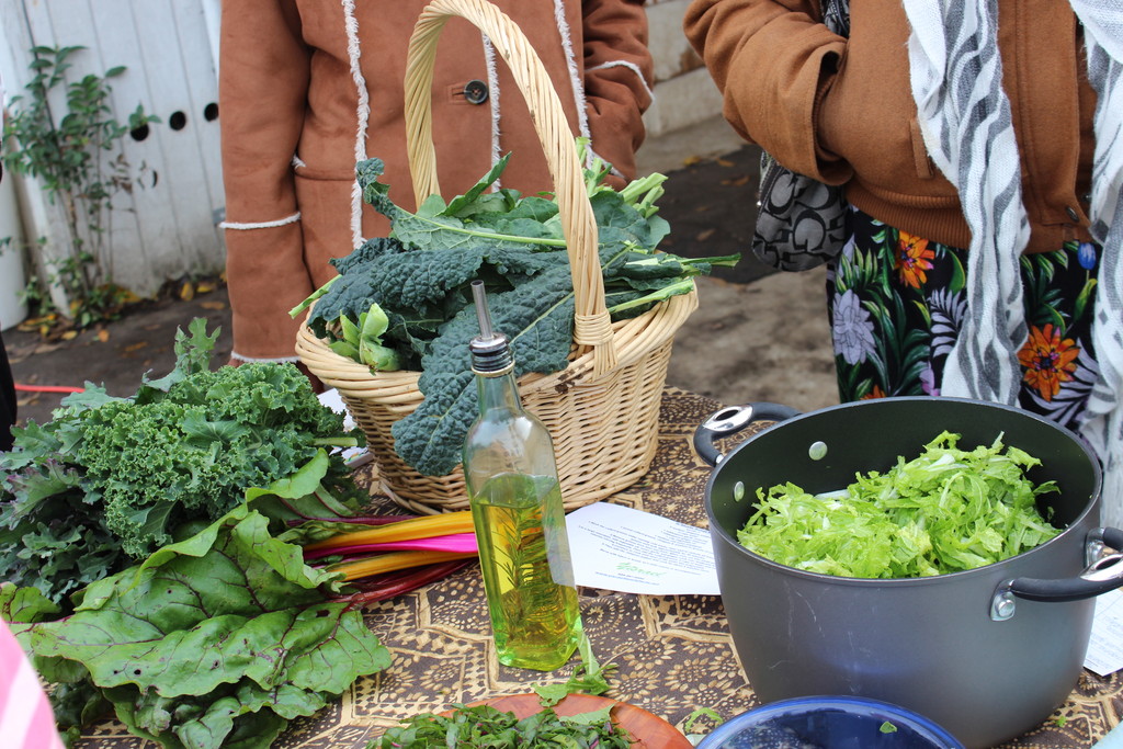 The Yisrael Family Urban Farm