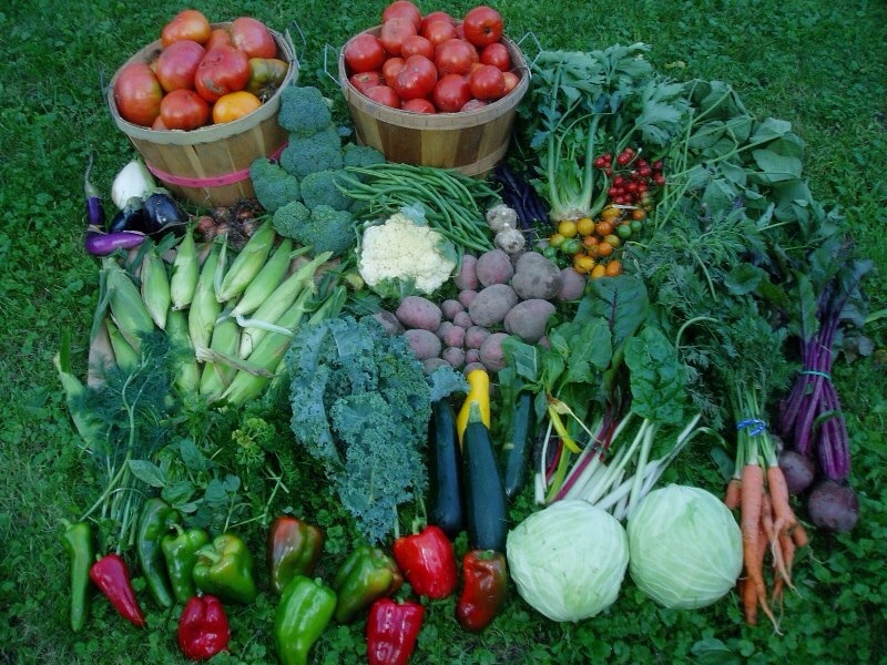 Thorpe’s Organic Family Farm