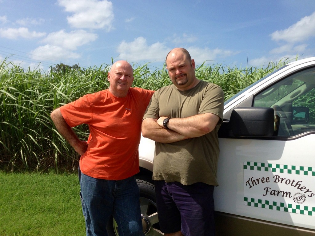 Three Brothers Farm, LLC